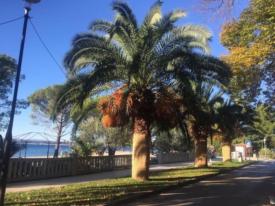Ferienwohnung Nena In Crikvenica Exteriör bild