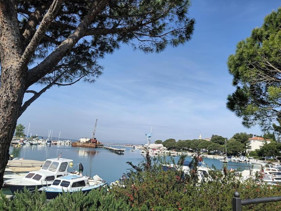Ferienwohnung Nena In Crikvenica Exteriör bild