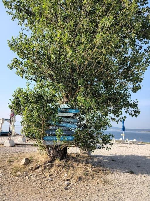 Ferienwohnung Nena In Crikvenica Exteriör bild