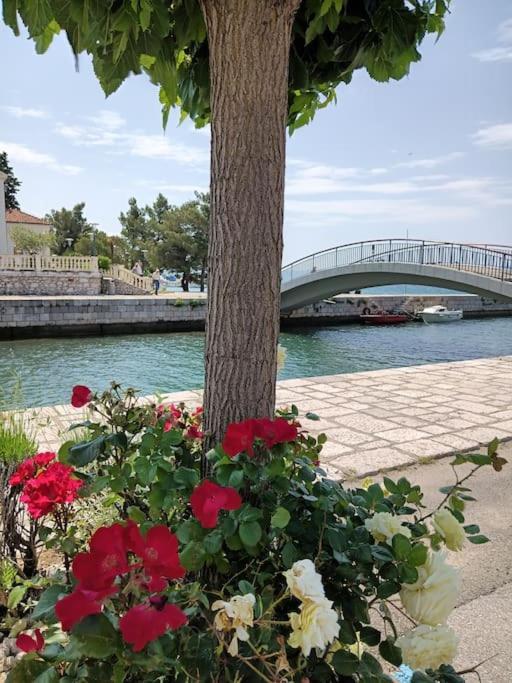 Ferienwohnung Nena In Crikvenica Exteriör bild